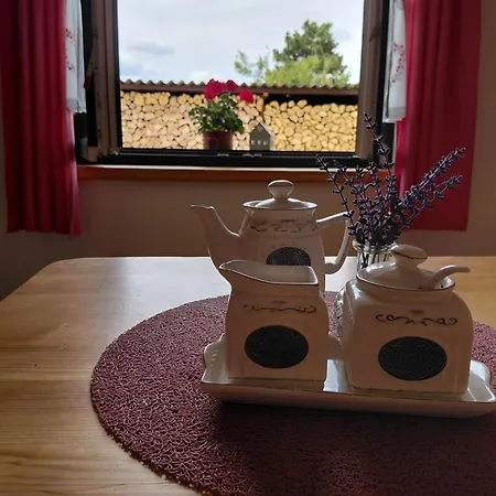 U Svate Rozalie Accommodatie bij particulieren