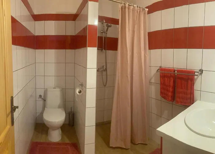 Pansiyon U Svate Rozalie Horni Vestonice